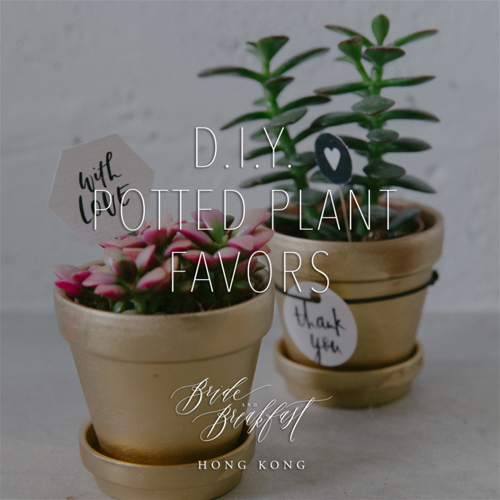 PlantFavorsTitle