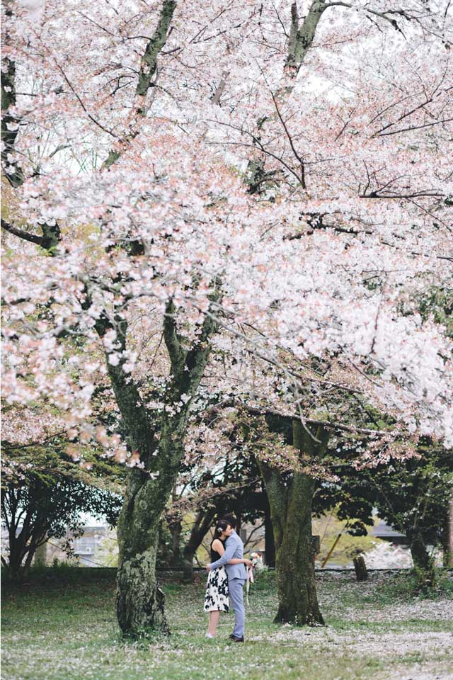 HistoryStudio-Kyoto-Japan-Engagement-PreWedding-HongKong-Sakura-CherryBlossom-005