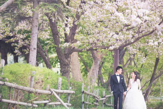hyvistong-japan-hokkaido-prewedding-overseas-engagement-002