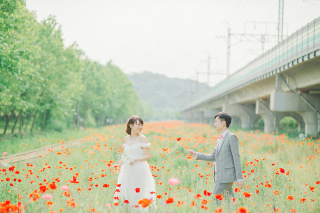 Ti-Lifestyle-HongKong-Prewedding-Engagement-Korea-004