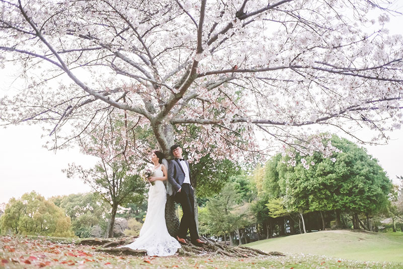 mila-story-engagement-overseas-japan-cherry-blossom-deer-outdoor-005