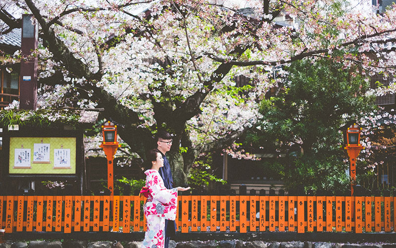 mila-story-engagement-overseas-japan-cherry-blossom-deer-outdoor-013