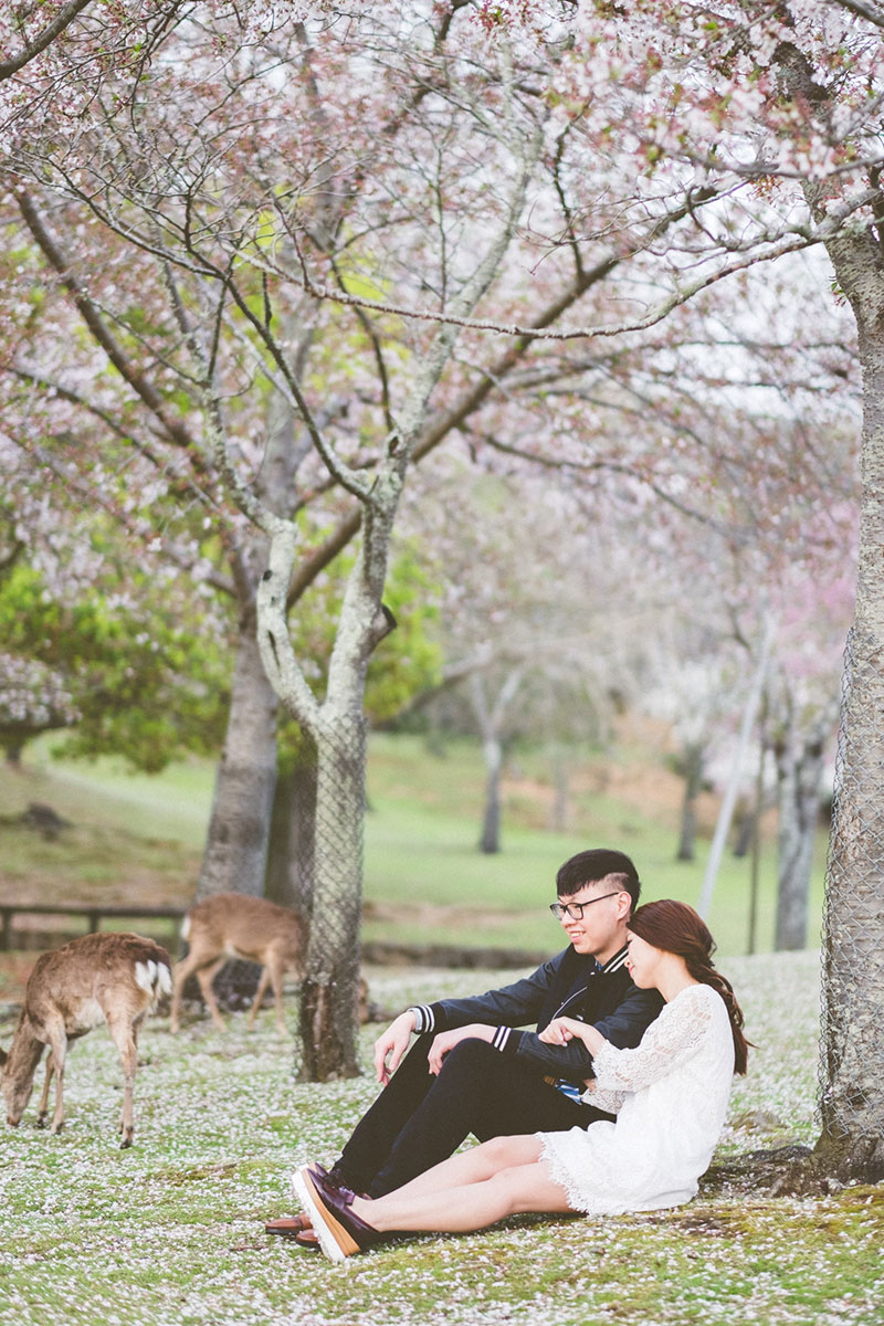 mila-story-engagement-overseas-japan-cherry-blossom-deer-outdoor-034