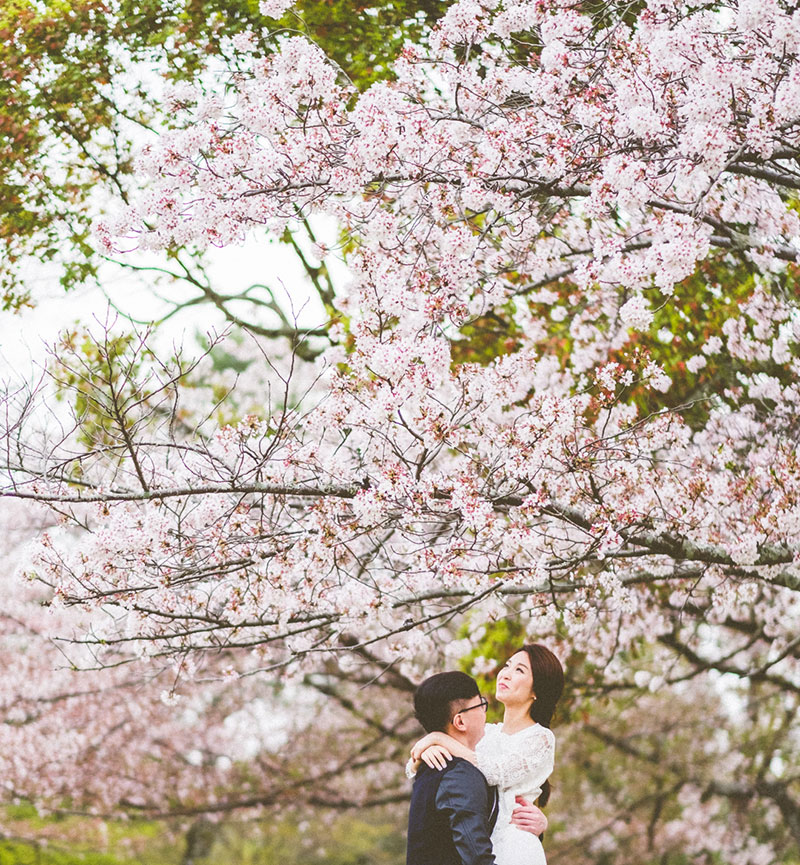 mila-story-engagement-overseas-japan-cherry-blossom-deer-outdoor-036