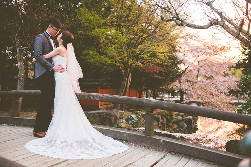 mila-story-engagement-overseas-japan-cherry-blossom-deer-outdoor-054