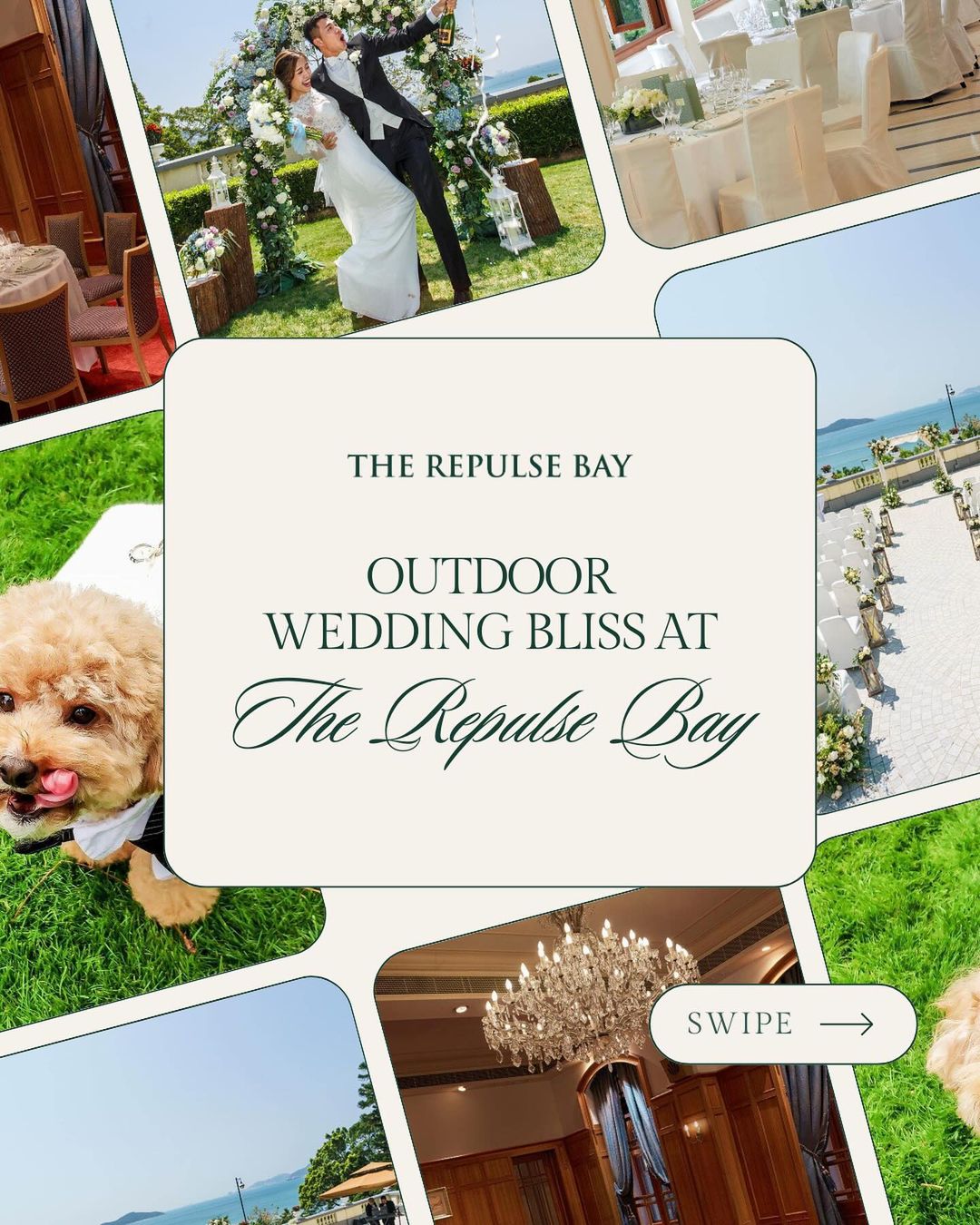 沒有比 #TheRepulseBay 更令人驚艷的室外婚禮場地了，這裡的郁郁蔥蔥的綠色草坪上，宣讀誓詞的背景是壯麗的海景！⁠
⁠
通過Link in Bio，與The Repulse Bay的婚禮策劃師聯繫，了解現正提供的限時優惠套餐，其中包含豐富的浪漫福利和額外加贈項目。⁠
⁠
There is no other stunning setting for an outdoor wedding than #TheRepulseBay, where vows on a lush green lawn are backdropped by spectacular sea views!⁠
⁠
Contact The Repulse Bay wedding planners via the link in bio to find out about the ongoing limited-time package filled to the brim with romantic perks and extras.