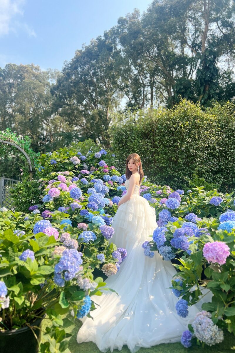 My Happiness Garden